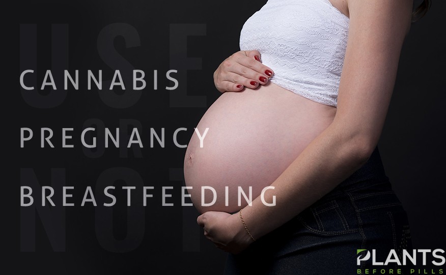 Cannabis During Pregnancy