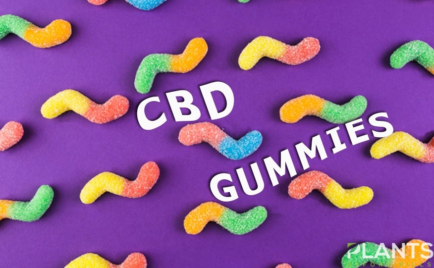 CBD Gummies