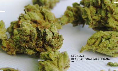 Illinois Marijuana Update
