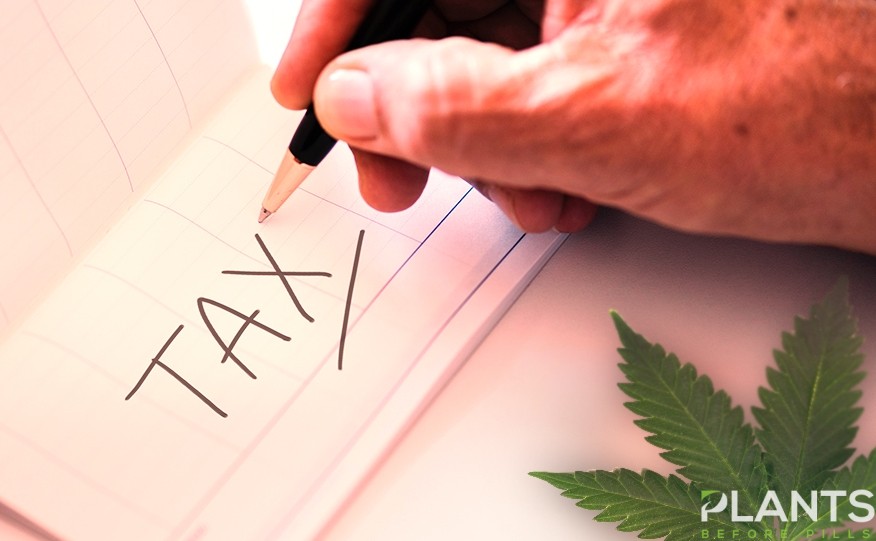 Marijuana Tax in Alberta