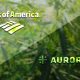 Aurora Cannabis Stocks Fell