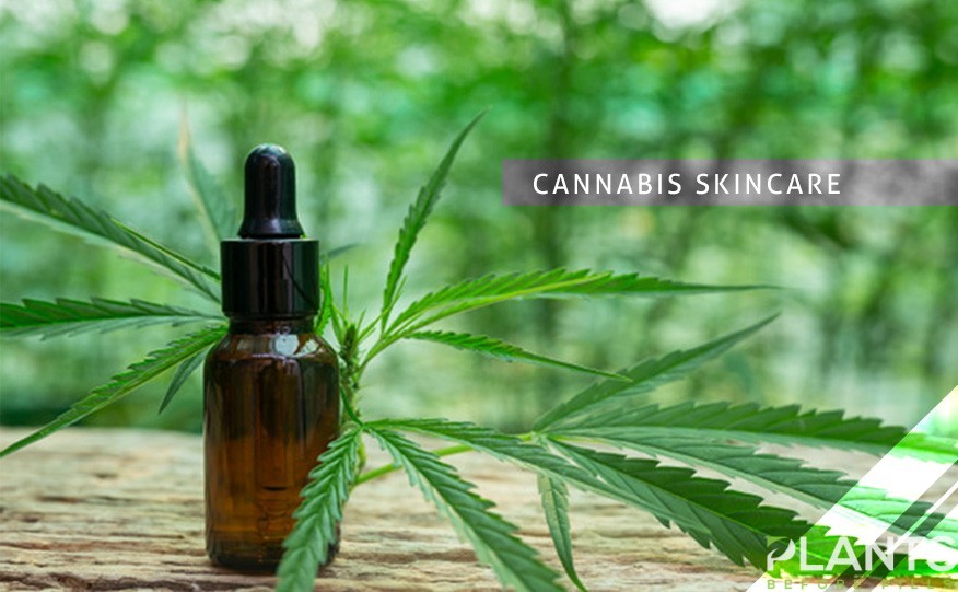 Cannabis Skincare