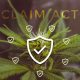 CLAIM Act - Cannabis Insurance
