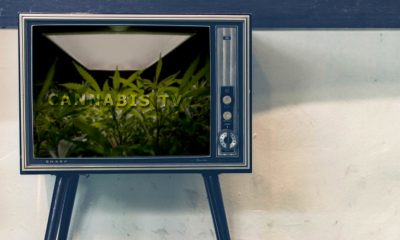 Cannabis TV Shows