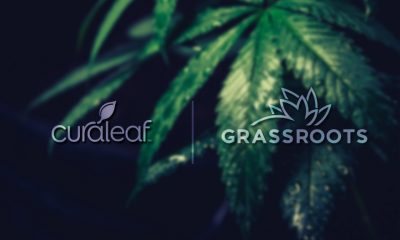 Curaleaf to Acquire Grassroots