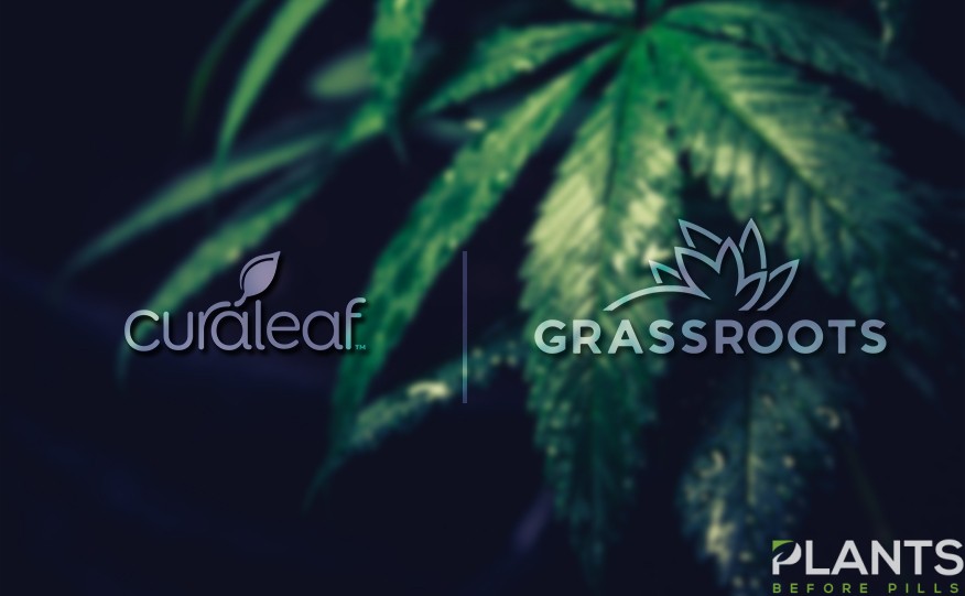 Curaleaf to Acquire Grassroots