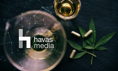 Havas Media Cannabis Consultancy Firm
