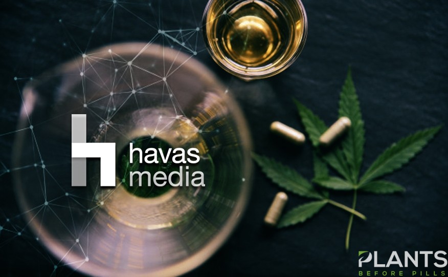 Havas Media Cannabis Consultancy Firm