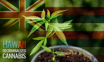 Hawaii Decriminalize Cannabis