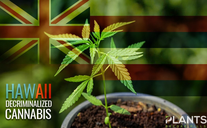 Hawaii Decriminalize Cannabis