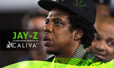 Jay Z Joins Caliva