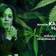 Kamala Harris to Decriminalize Cannabis