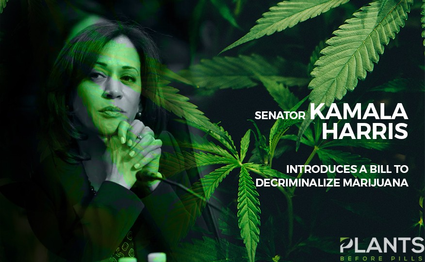 Kamala Harris to Decriminalize Cannabis