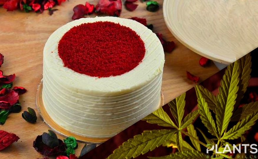 Grandpa's Marijuana Cake