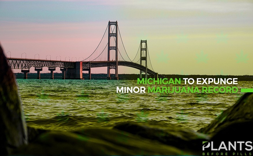 Michigan To Expunge Minor Marijuana Record