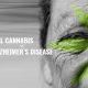 Minnesotta OK'd Medical Cannabis for Alzheimers