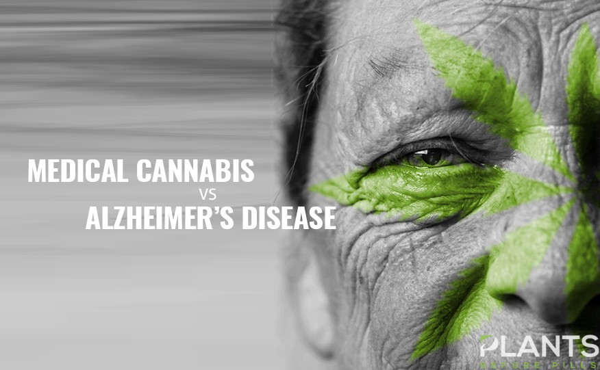 Minnesotta OK'd Medical Cannabis for Alzheimers