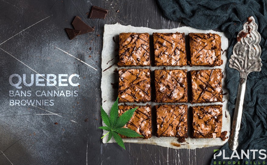 Quebec Bans Cannabis Brownies