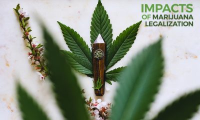 The Different Impacts of Marijuana Legalization