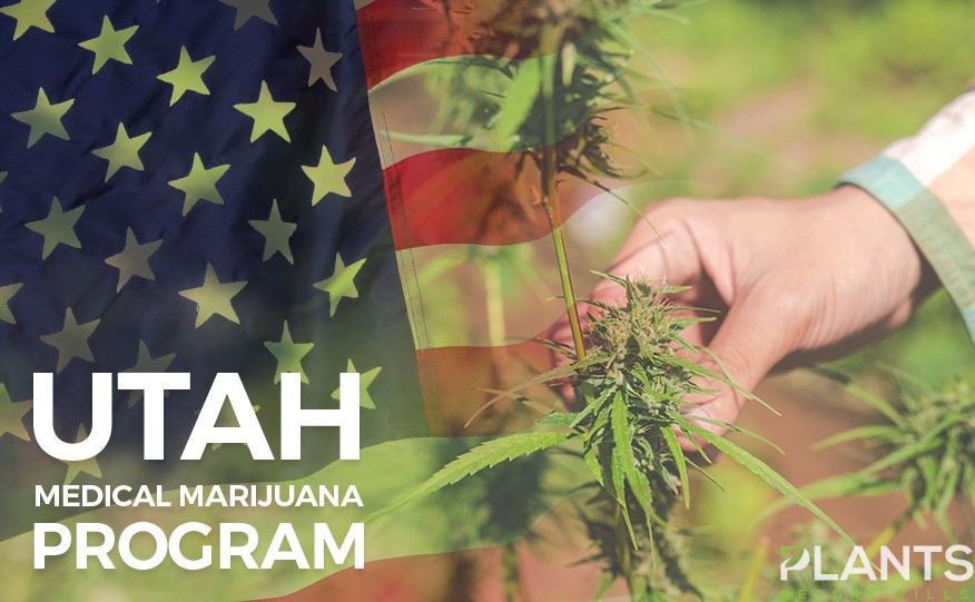 Utah Selects Marijuana Growers