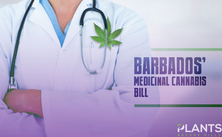 Barbados Medicinal Cannabis Bill