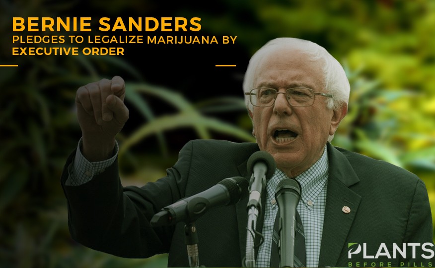 Bernie Sanders