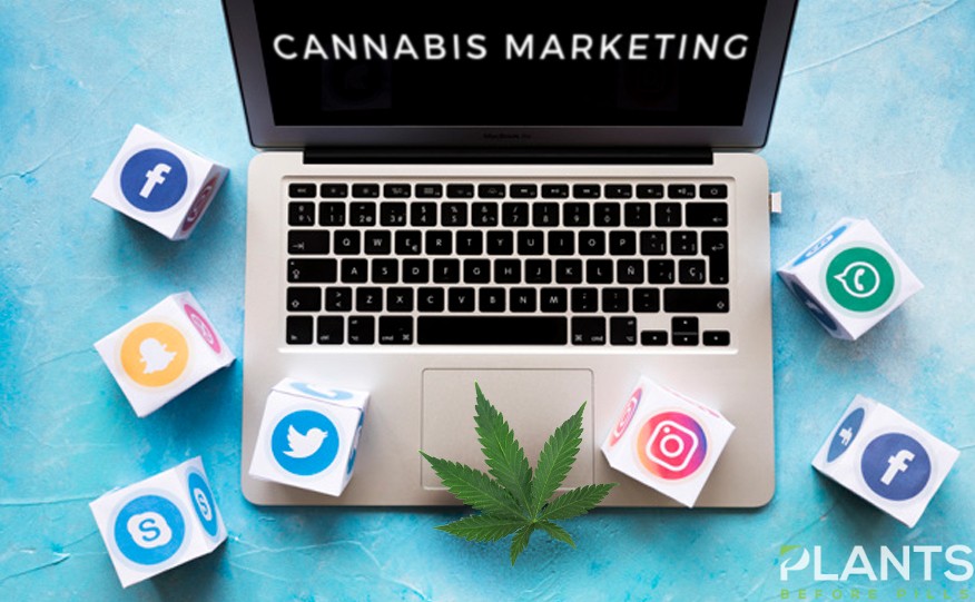 Cannabis MArketing