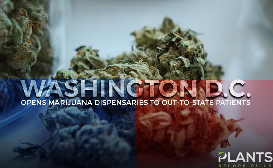 DC Opens Marijuana Dispensaries
