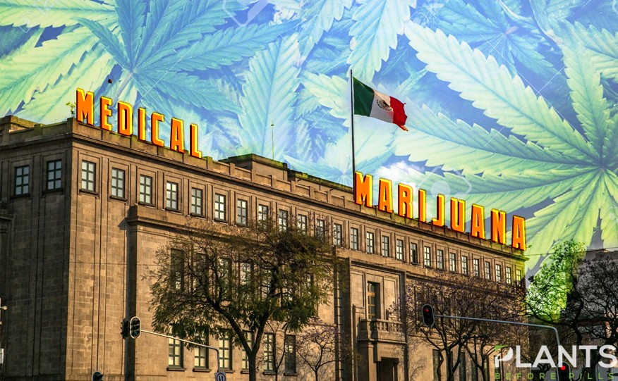 Mexico Medical Cannabis