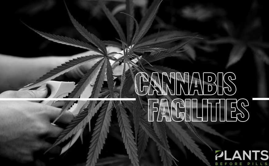 Shepparton Cannabis Facilities
