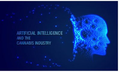 Artificial Intelligence (AI) and the Cannabis Industry