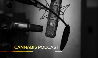 Cannabis and Podcast