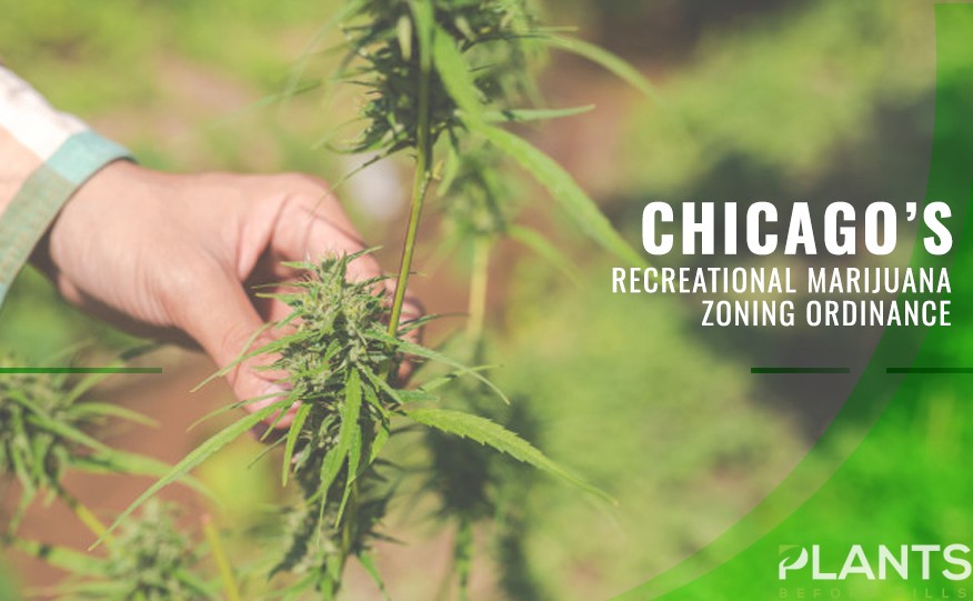 Chicago's Recreational Marijuana Zoning Ordinance