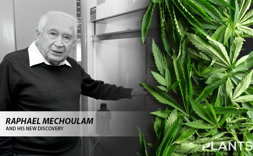 Raphael Mechoulam