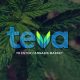 Teva Pharmaceuticals and Cannabis Market