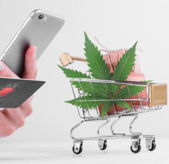 Tips for Buying Cannabis Products Online