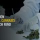 AU $3m Fund for Medical Cannabis Research