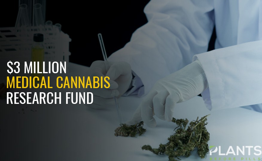 AU $3m Fund for Medical Cannabis Research