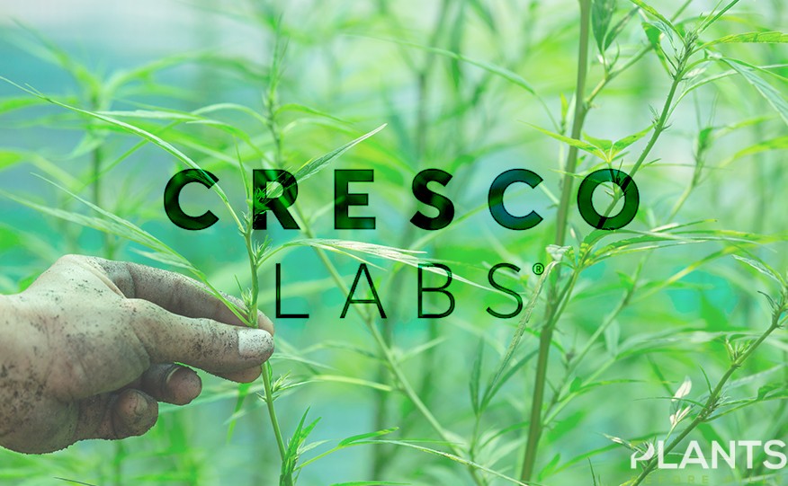 Cresco Labs