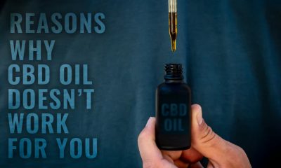 Reasons Why CBD Oil Doesn’t Work For You