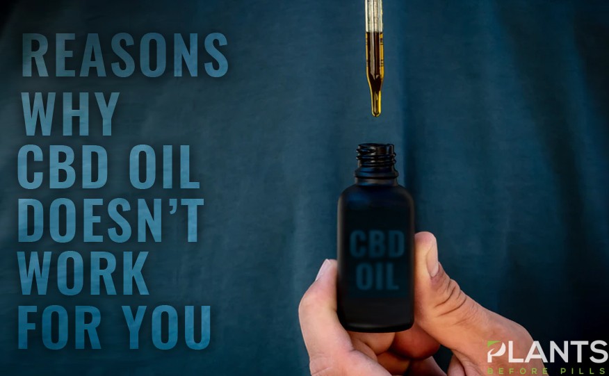 Reasons Why CBD Oil Doesn’t Work For You