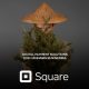 Square Digital Payment Solutions for Cannabis Companies