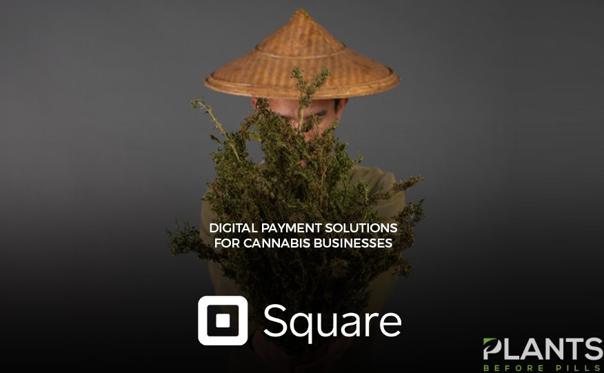 Square Digital Payment Solutions for Cannabis Companies