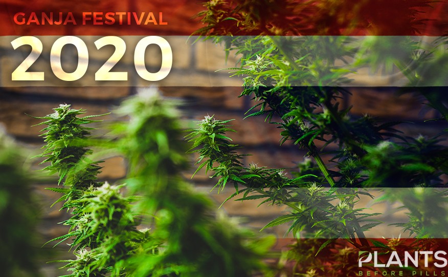 Thailand Ganja Festival