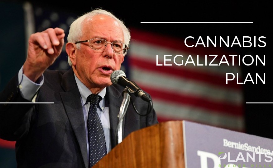 Bernie Sanders Unveils Comprehensive Cannabis Legalization Plan