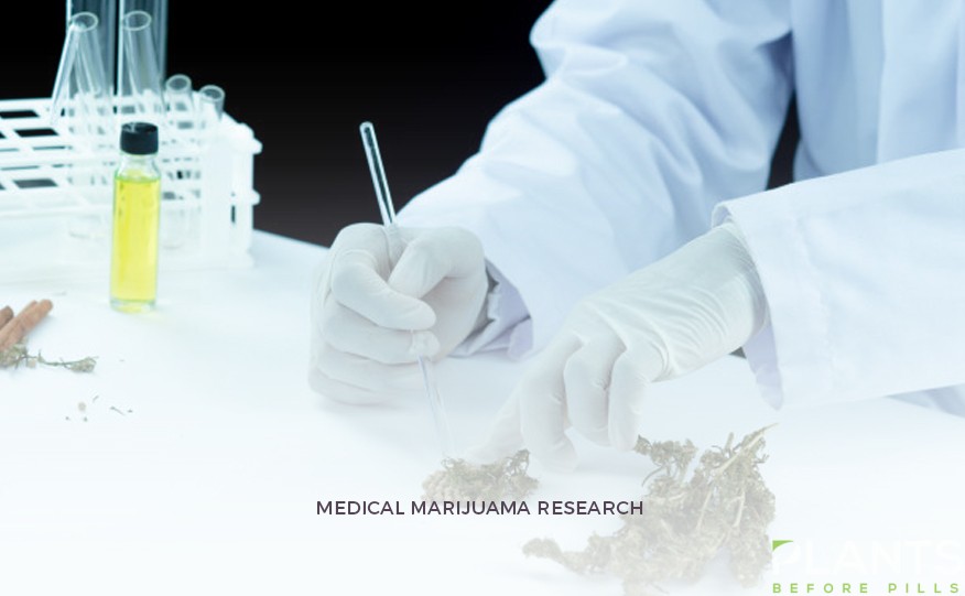 Medical Marijuana Research