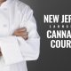 New Jersey Launches Cannabis Class