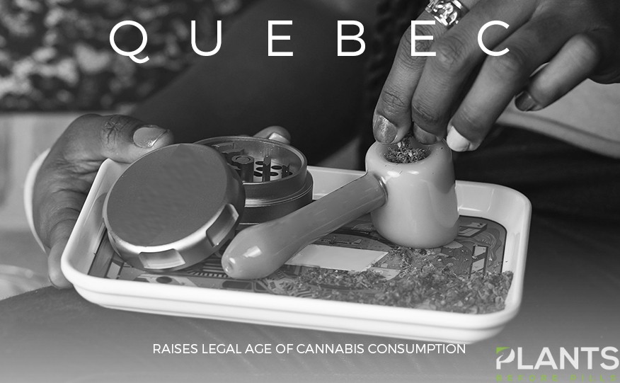 Quebec Raises Legal Age of Cannabis Consumption