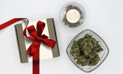 The Art of Gifting Cannabis During the Holidays