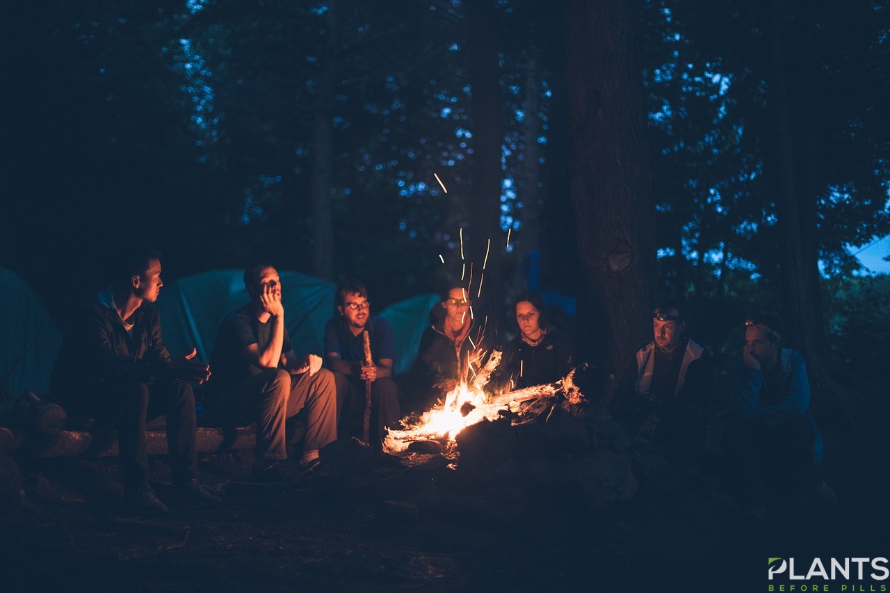 Book Reading by the Fireplace with CBD Edibles